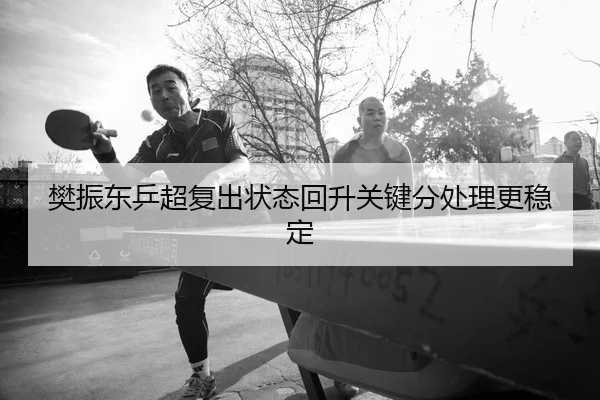 樊振东乒超复出状态回升关键分处理更稳定