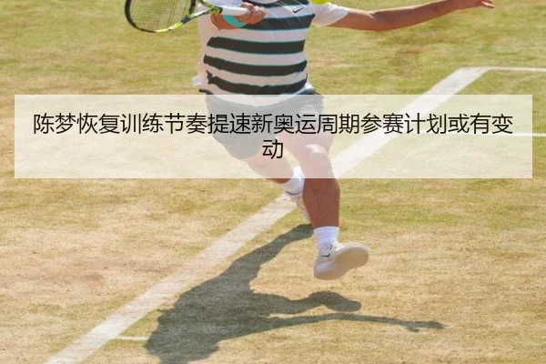 陈梦恢复训练节奏提速新奥运周期参赛计划或有变动